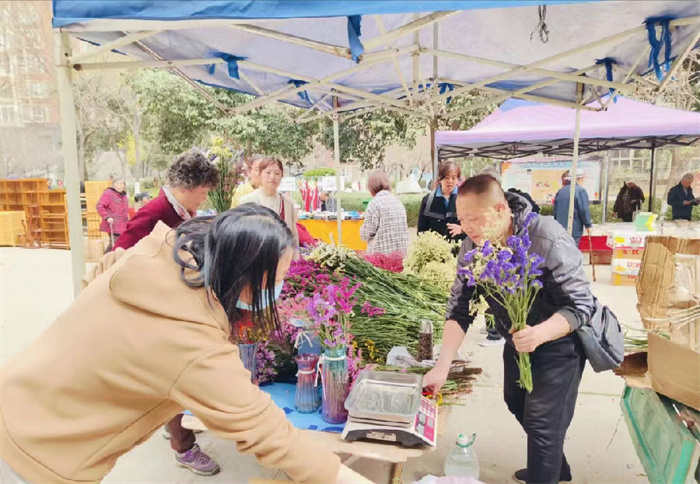 三秦风情网