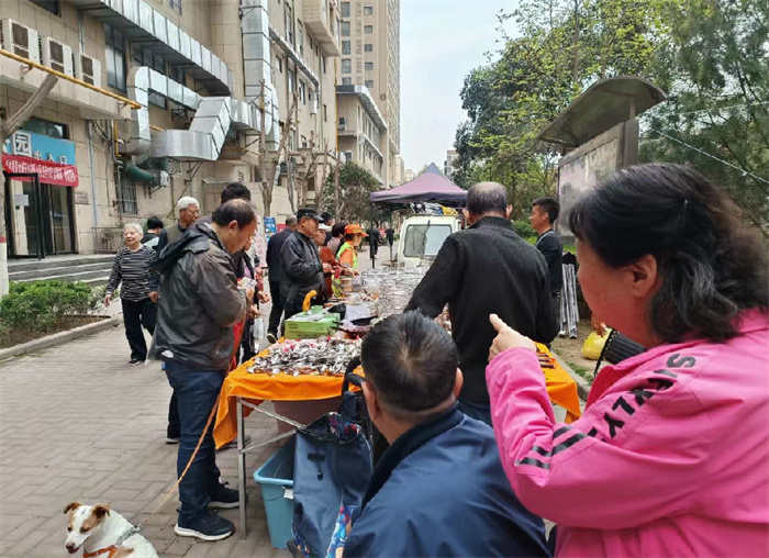 三秦风情网
