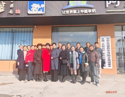 雅泰相伴迎春暖·艺起出彩耀泾阳